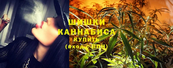 МДПВ Верхний Тагил