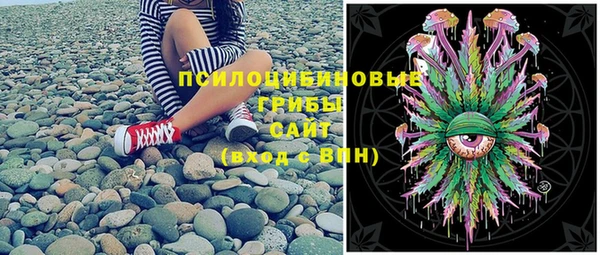 шишки Верхнеуральск