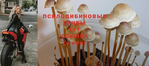 мяу мяу мука Бородино